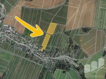 Prodej pole, Brodek u Konice, 1329 m2