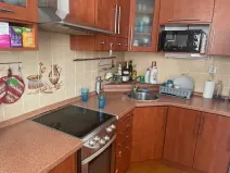 Pronájem bytu 2+1, Břeclav, Na Valtické, 46 m2