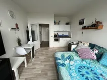 Pronájem bytu 1+kk, Brno, Halasovo náměstí, 23 m2