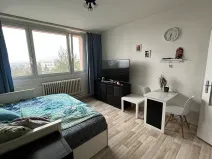 Pronájem bytu 1+kk, Brno, Halasovo náměstí, 23 m2