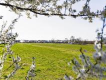 Prodej komerčního pozemku, Pardubice, 11061 m2