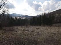 Prodej lesa, Lipová-lázně, 12392 m2