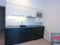 Pronájem bytu 1+kk, Praha - Karlín, U Mlýnského kanálu, 36 m2