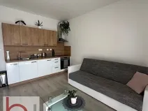Pronájem bytu 1+kk, České Budějovice, Volejbalistů, 38 m2