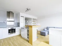 Prodej bytu 4+kk, Praha - Žižkov, Nad Ohradou, 100 m2