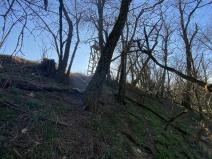 Prodej lesa, Břežany, 146 m2