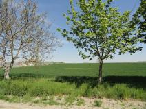 Prodej komerčního pozemku, Úhonice, Na Vlečce, 12268 m2
