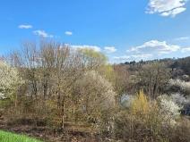 Prodej vícegeneračního domu, Brno, 651 m2