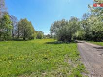 Prodej louky, Horní Bříza, U Kapličky, 4590 m2
