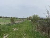 Dražba louky, Běštín, 3119 m2