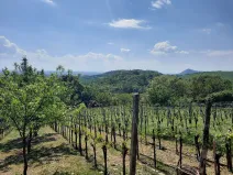 Prodej zahrady, Žitenice, 817 m2
