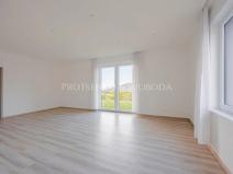 Prodej vícegeneračního domu, Milovice, Lesní, 423 m2