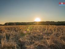 Prodej pozemku pro bydlení, Nová Ves, 636 m2