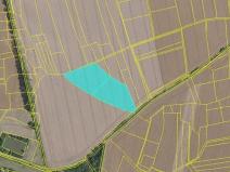 Prodej pole, Mcely, 43876 m2