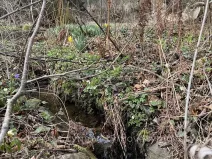 Prodej chaty, Klokočov, 40 m2