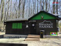 Pronájem restaurace, Orlová - Lutyně, Modřínová, 330 m2