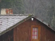 Dražba chaty, Teplice, Duchcovská, 20 m2