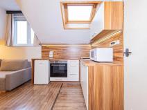 Pronájem bytu 1+kk, Olomouc, Krapkova, 25 m2