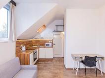 Pronájem bytu 1+kk, Olomouc, Krapkova, 25 m2