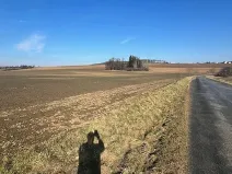 Prodej pole, Soběšín, 10012 m2