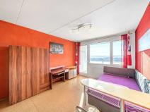 Pronájem bytu 1+kk, Horní Bříza, U Vrbky, 25 m2