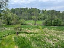Prodej pozemku pro bydlení, Horní Vltavice, 7500 m2