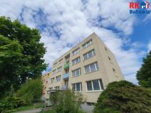 Prodej bytu 1+1, Mladá Boleslav, Na Radouči, 44 m2