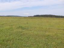 Dražba pole, Horní Štěpánov, 16122 m2