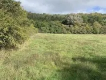 Dražba pole, Staňkovice, 1500 m2