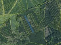 Prodej lesa, Hradiště, 5650 m2