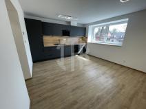 Pronájem bytu 3+kk, Staré Hodějovice, Hodějovická, 57 m2