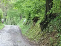 Dražba pozemku, Medonosy, 9062 m2