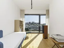 Pronájem bytu 4+kk, Praha - Žižkov, Tetauerova, 106 m2