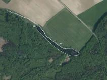 Prodej lesa, Radhošť, 14611 m2