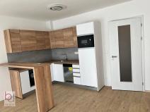 Pronájem bytu 1+kk, České Budějovice, Chelčického, 47 m2