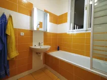 Pronájem bytu 1+1, Zlín, Sokolská, 46 m2