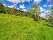 Prodej pozemku pro bydlení, Sušice - Nuzerov, 10400 m2