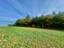 Prodej pole, Praha, 24066 m2