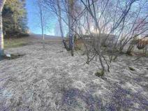 Prodej pozemku, Železná Ruda - Špičák, 241 m2