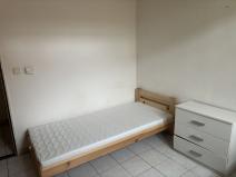 Pronájem ubytování, Brno, Cejl, 167 m2