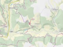 Dražba lesa, Český Dub, 1194 m2