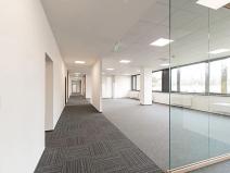 Pronájem kanceláře, Ostrava, Slavíkova, 1700 m2