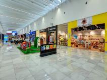 Pronájem obchodního prostoru, Ostrava, Spojovací, 511 m2