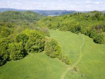 Prodej louky, Děčín, 22595 m2