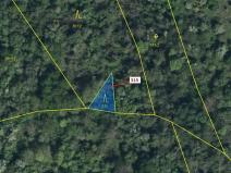Dražba lesa, Podhořany u Ronova, 129 m2