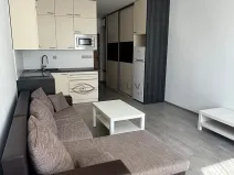Pronájem bytu 1+kk, České Budějovice, K. Chocholy, 21 m2