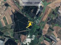 Prodej louky, Hovorany, 21655 m2