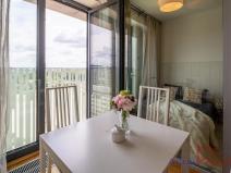 Prodej bytu 1+kk, Praha - Žižkov, Olšanská, 34 m2