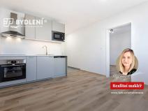 Prodej bytu 1+1, Duchcov, Osecká, 36 m2