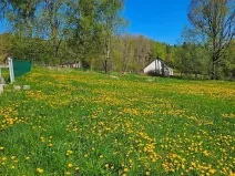 Dražba louky, Omlenice, 4505 m2